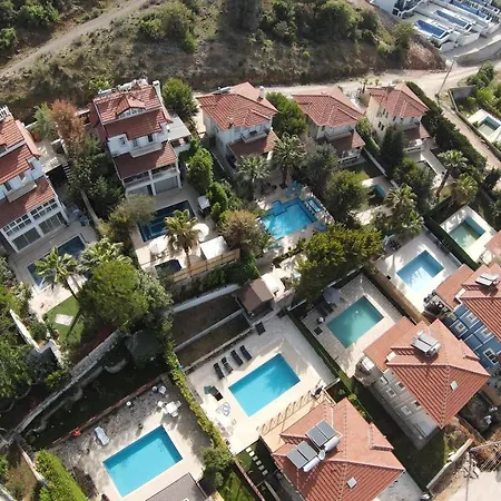 Levi Villa *
